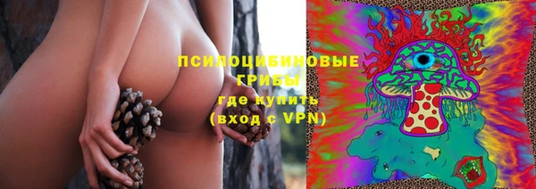 герыч Новозыбков