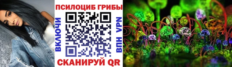 Галлюциногенные грибы Cubensis  Унеча 